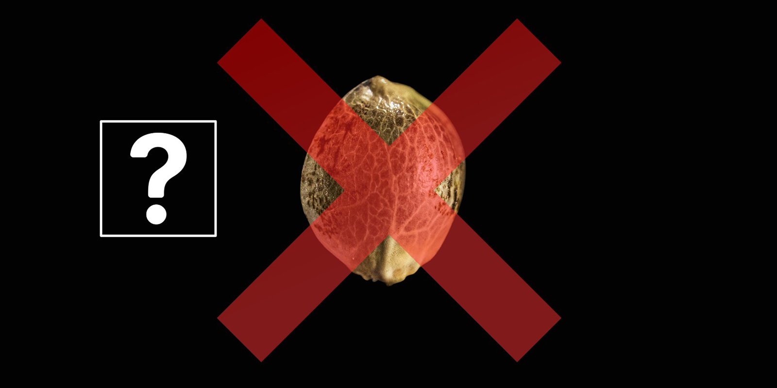 Keimprobleme beheben Keimprobleme beheben