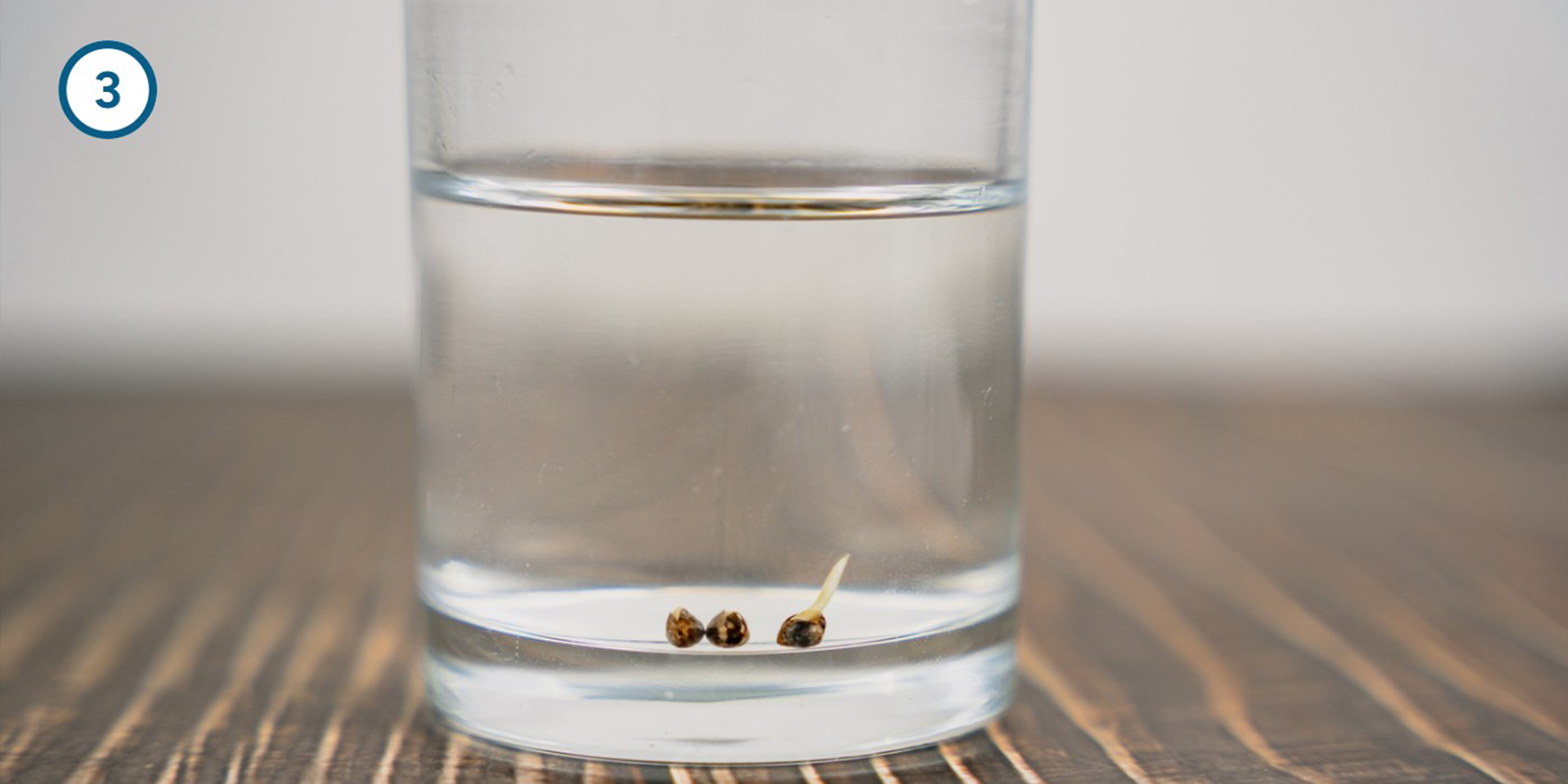 Wasser-Einweichmethode Wasser-Einweichmethode