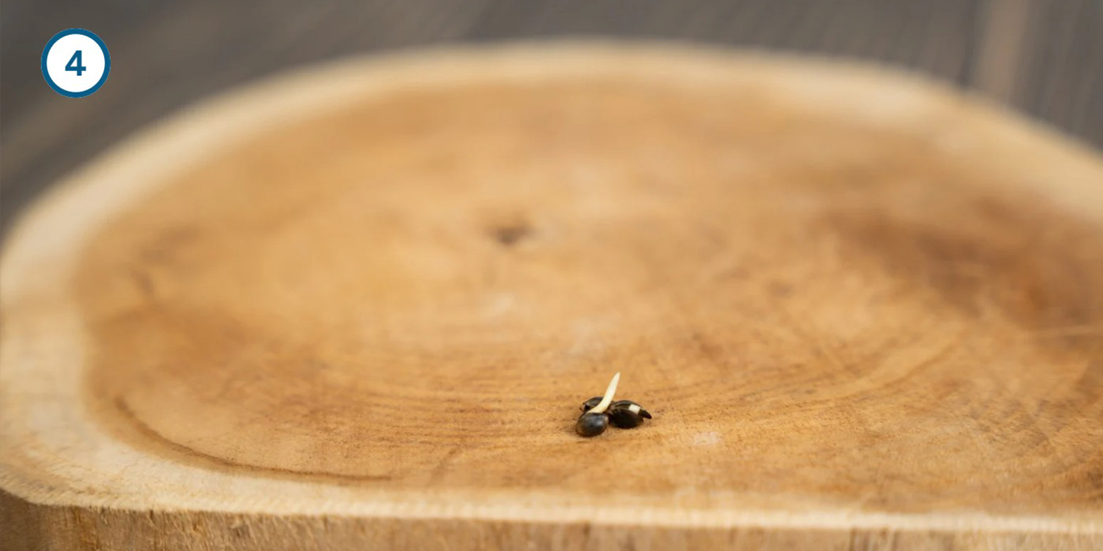 Wasser-Einweichmethode Wasser-Einweichmethode