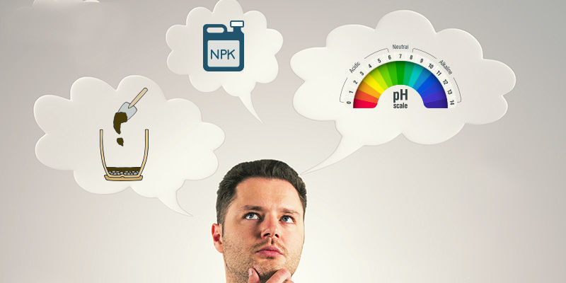 Was Bei Der Auswahl Von Erde Für Den Weed-anbau Zu Berücksichtigen Ist Was bei der Auswahl von Erde für den Weed-Anbau zu berücksichtigen ist