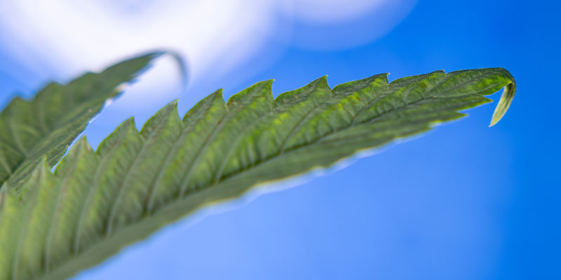 Hitze-/Kälteschock Hitze-/Kälteschock