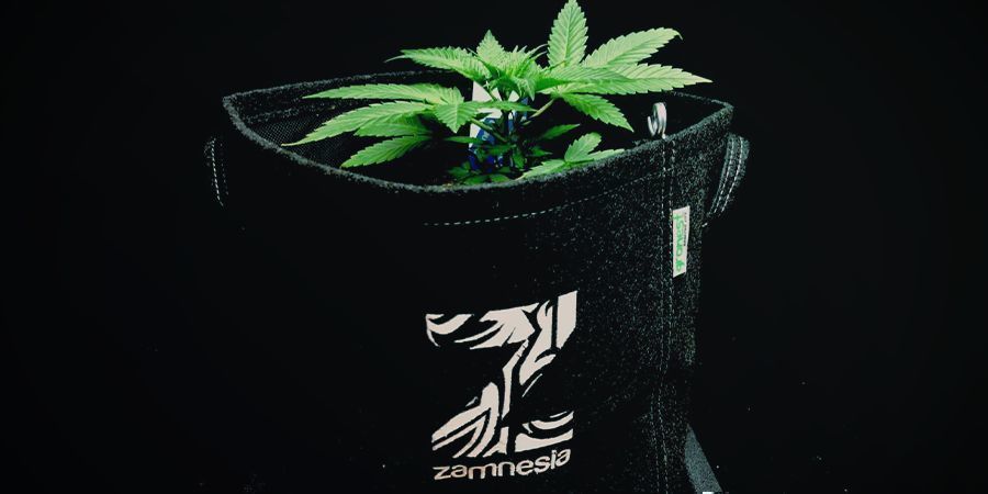 Stofftöpfe Aka Smart Pots Stofftöpfe Aka Smart Pots Cannabis
