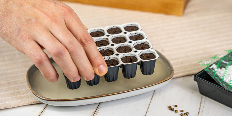 Stelle Smart Start In Die Lösung Und Lass Es Für 5 Minuten Ruhen Stelle Smart Start In Die Lösung Und Lass Es Für 5 Minuten Ruhen