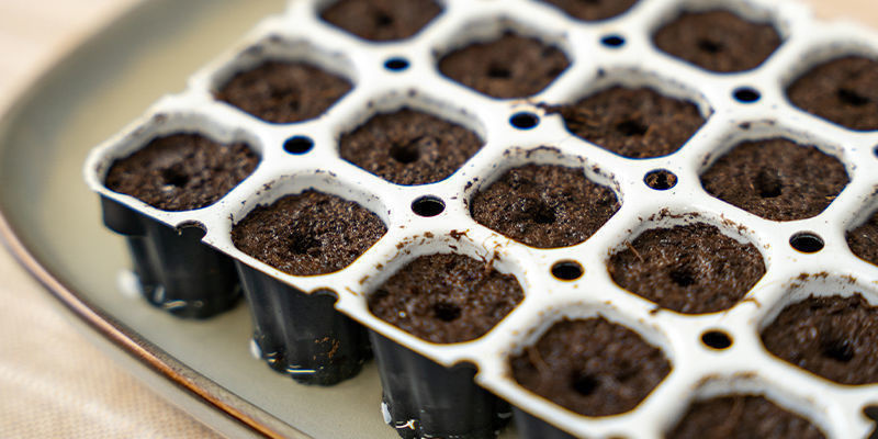 Nach 5 Minuten werden die Töpfe so viel Stimulator-Lösung aufgenommen haben, wie sie brauchen Nach 5 Minuten werden die Töpfe so viel Stimulator-Lösung aufgenommen haben, wie sie brauchen