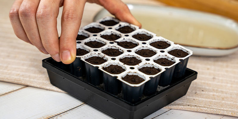 Stelle Smart Start Auf Den Perlit Im Propagator Stelle Smart Start Auf Den Perlit Im Propagator