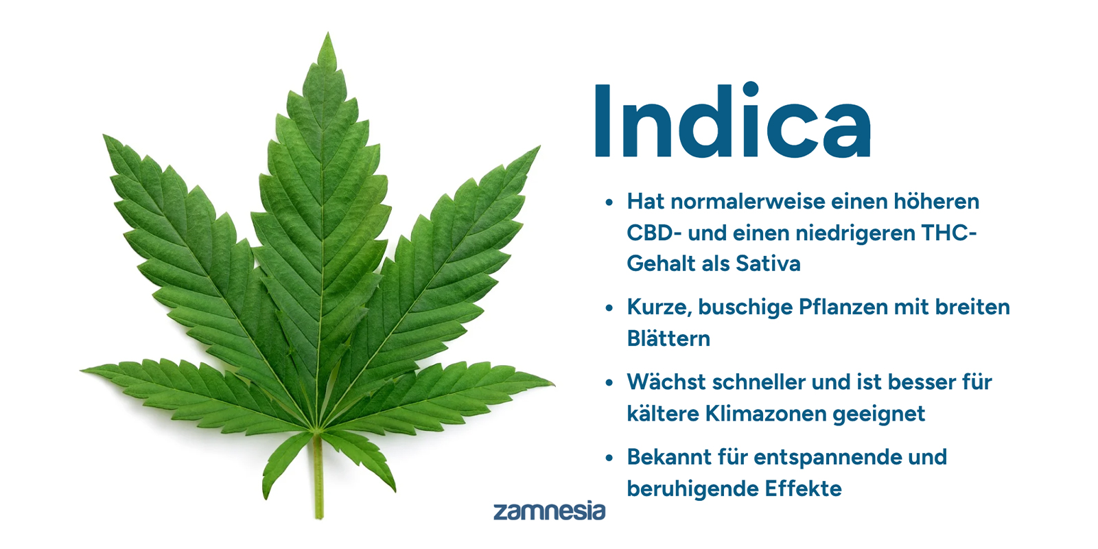 Was ist Cannabis Indica? Die Grundlagen