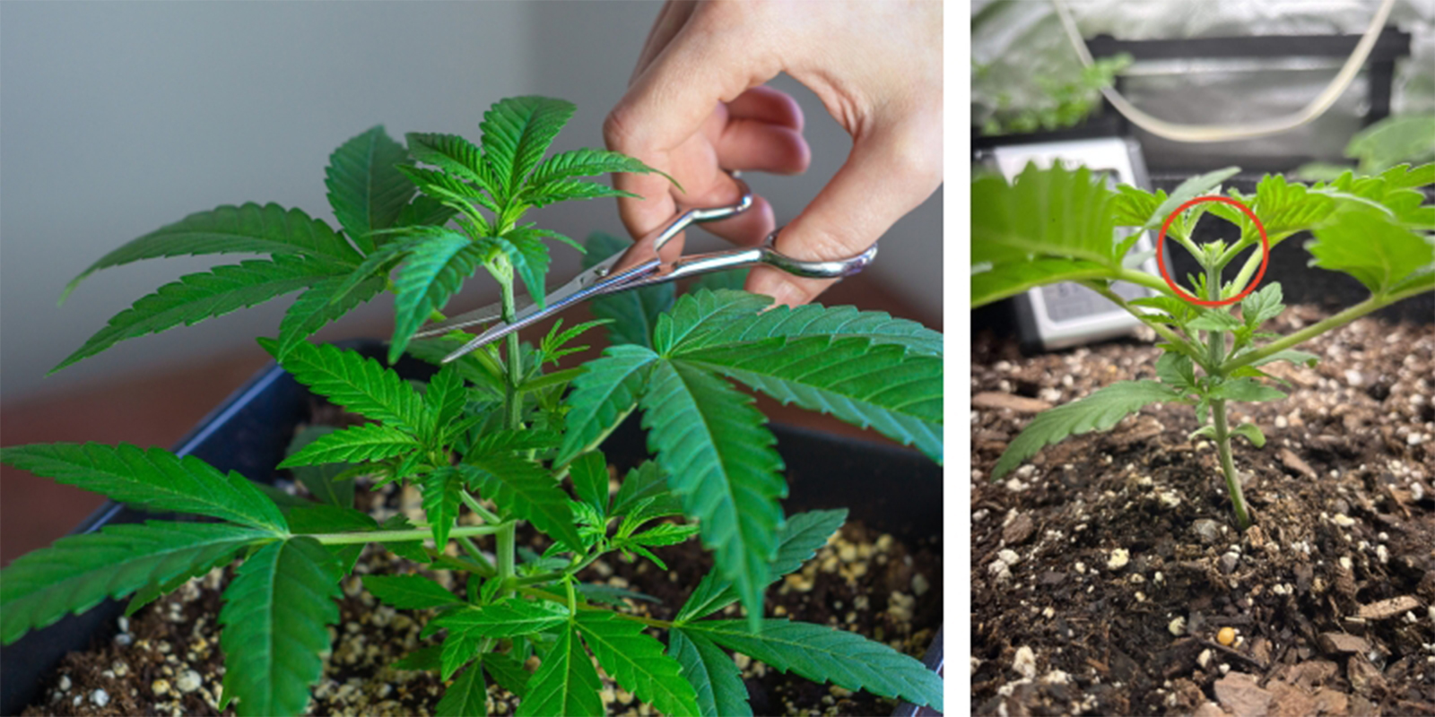 Anleitung (Schritt f&uuml;r Schritt)