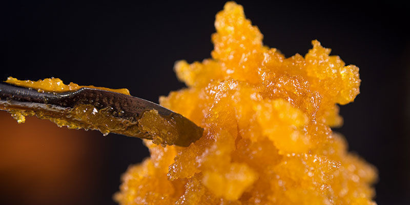 Trichome Isolieren Trichome isolieren