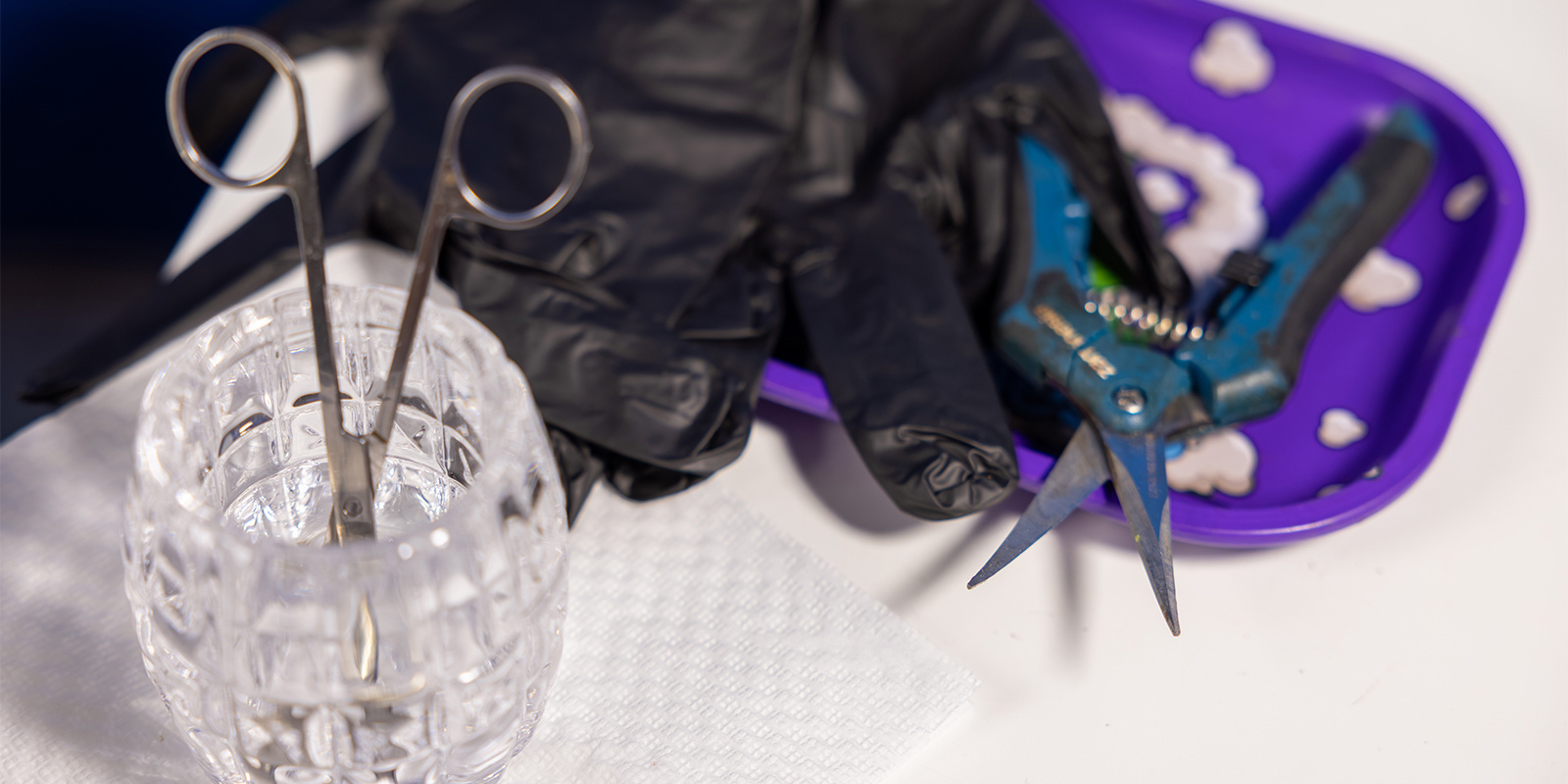 Schritt 2: Sauberes Werkzeug verwenden