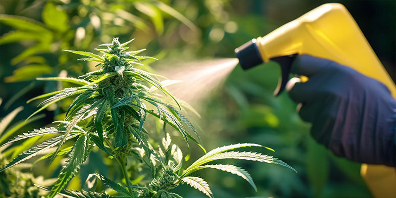 Eine Einführung In Die Integrierte Schädlingsbekämpfung Eine Einführung in die integrierte Schädlingsbekämpfung