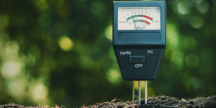 Die Bedeutung Von Ph-Wert Und Mikronährstoffen Die Bedeutung von pH-Wert und Mikronährstoffen