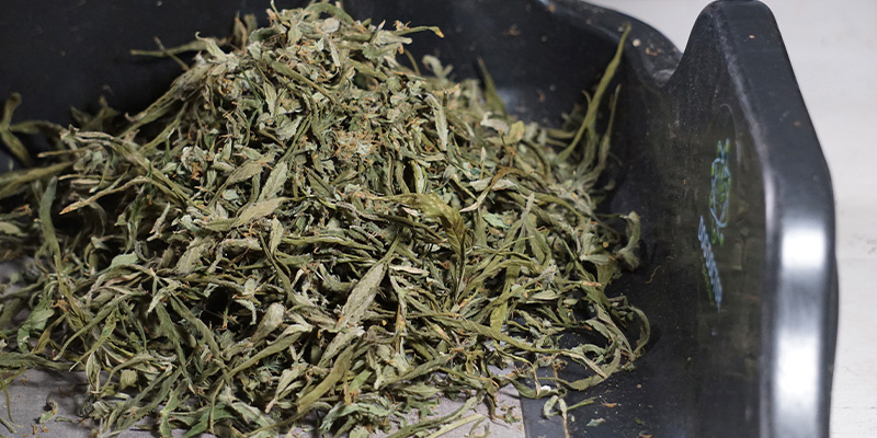 Gib deinem Trim ein zweites Leben Gib deinem Trim ein zweites Leben