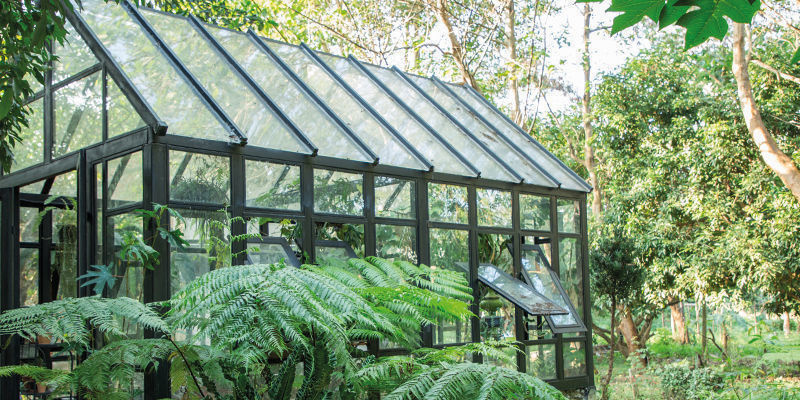 Wie Man Seine Cannabispflanzen Im Freien Tarnt Wie Man Seine Cannabispflanzen Im Freien Tarnt