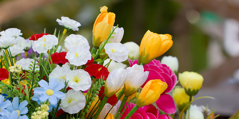 Wie Versteckt Man Einen Cannabisanbau Im Freien? Wie versteckt man einen Cannabisanbau im Freien?
