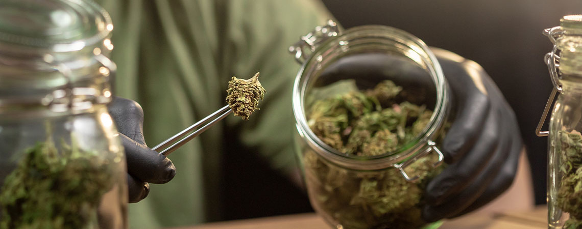 Anleitung: Cannabis richtig lagern Anleitung: Cannabis richtig lagern