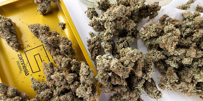 Lass gutes Weed nicht schlecht werden Lass gutes Weed nicht schlecht werden