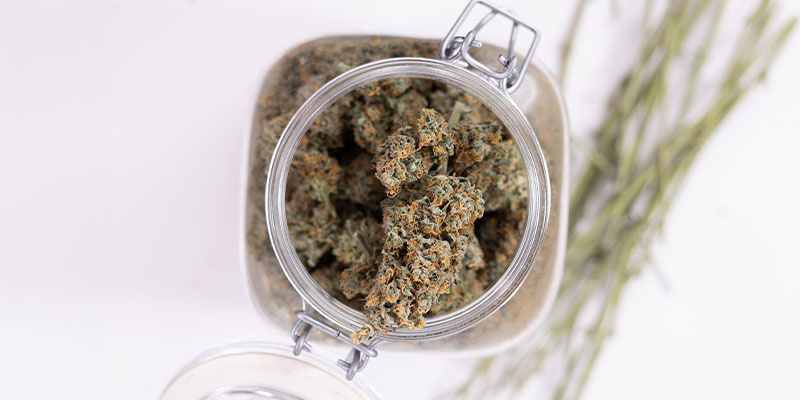 Cannabis lagern – so geht’s Cannabis lagern – so geht’s