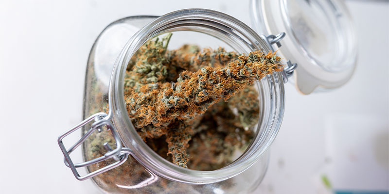 Ideale Lagerbedingungen Ideale Lagerbedingungen