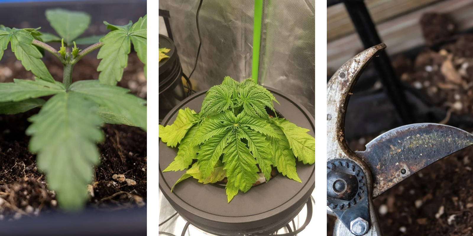 Häufige Fehler beim Mainlining Häufige Fehler beim Mainlining