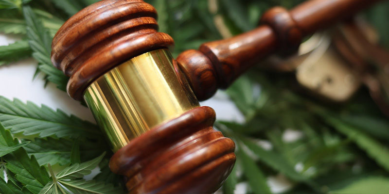 Ist Es Legal, Cannabis Im Eigenen Garten Anzubauen? Ist es legal, Cannabis im eigenen Garten anzubauen?