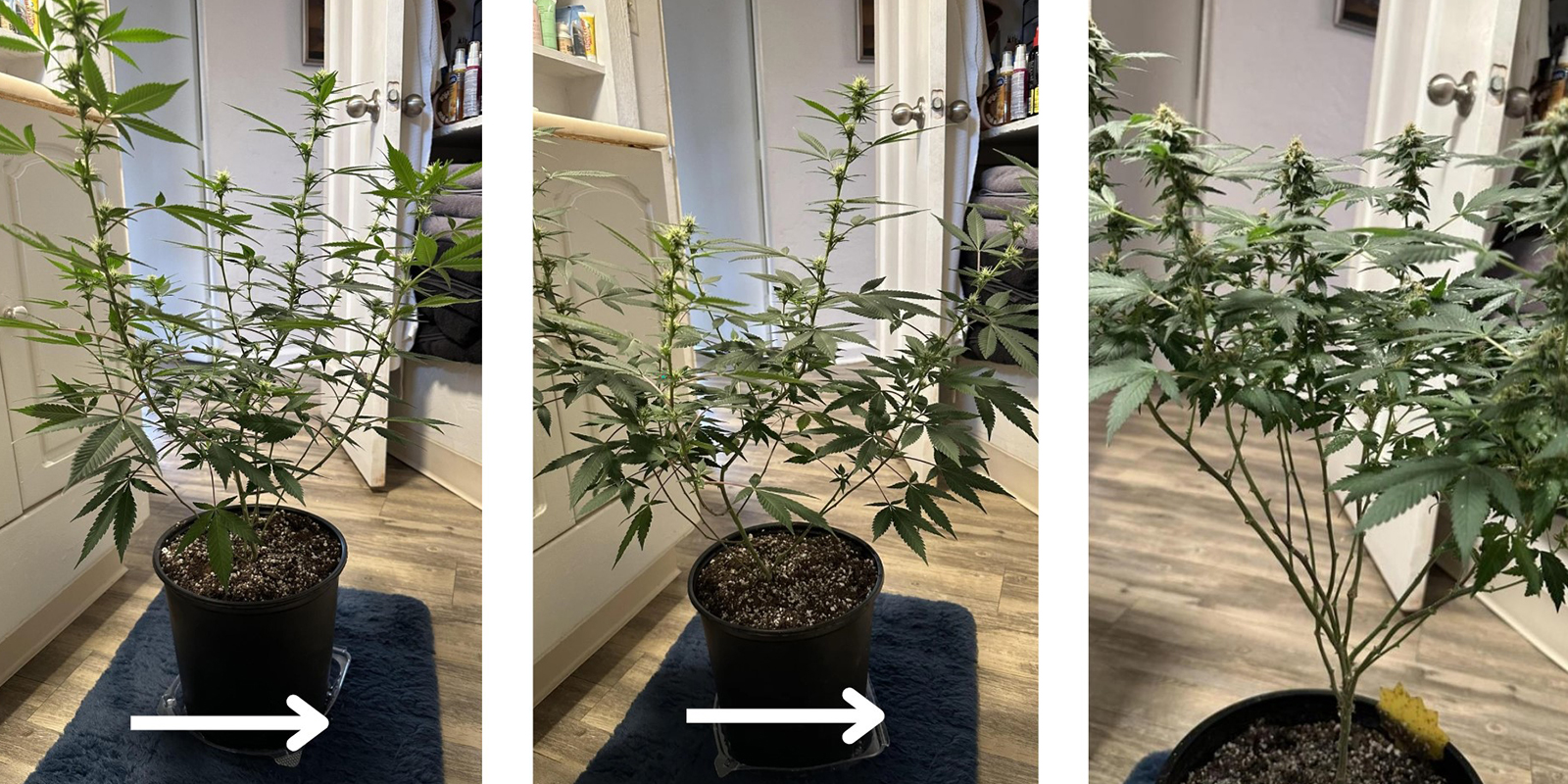 2. Von oben nach unten arbeiten