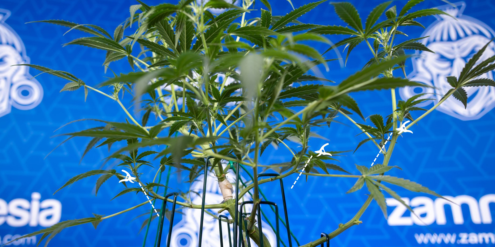 3. Schneiden, nicht reißen