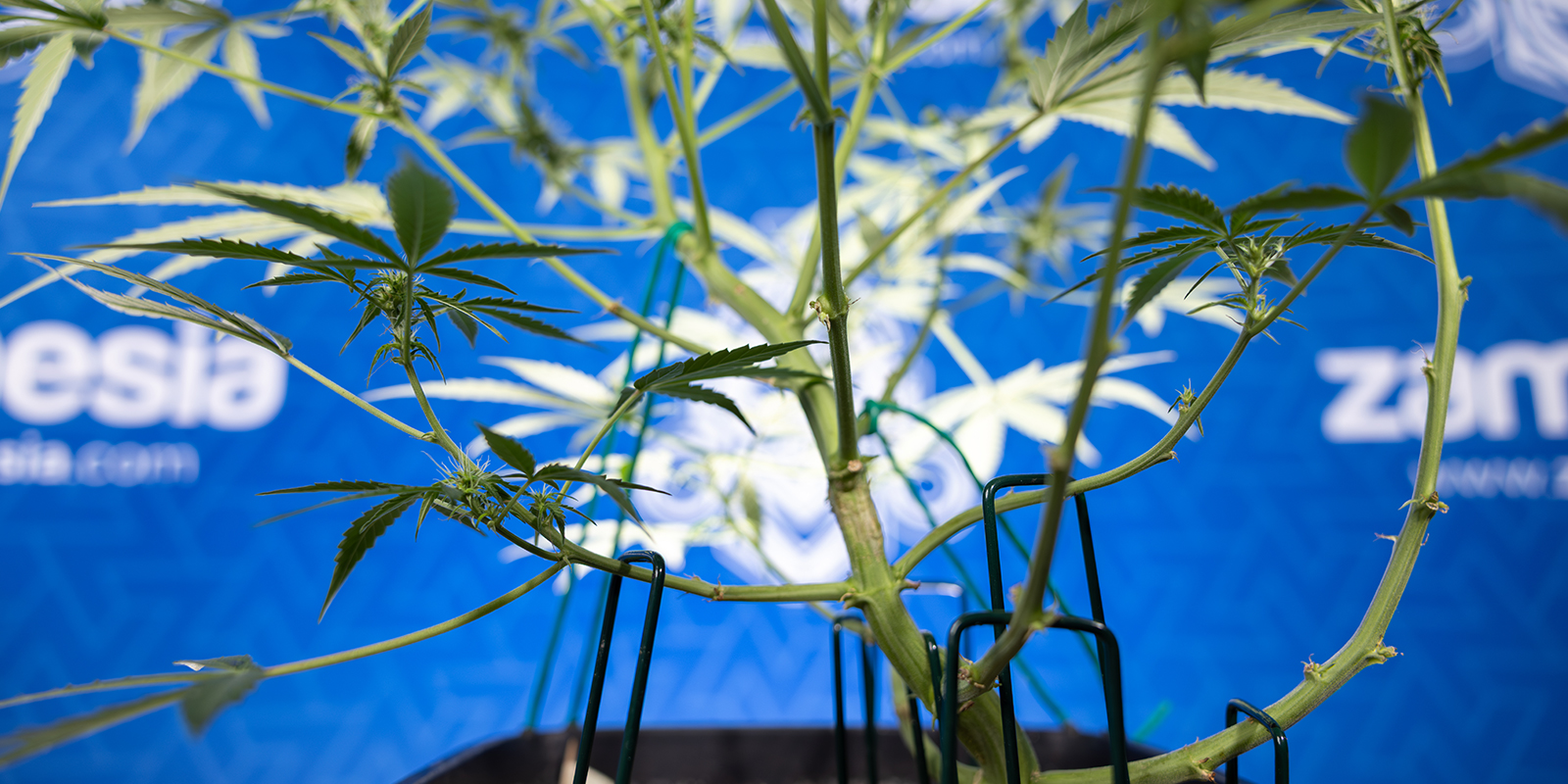 4. Schrittweise vorgehen