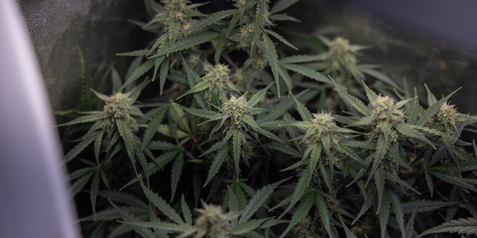 Best Practices & Timing