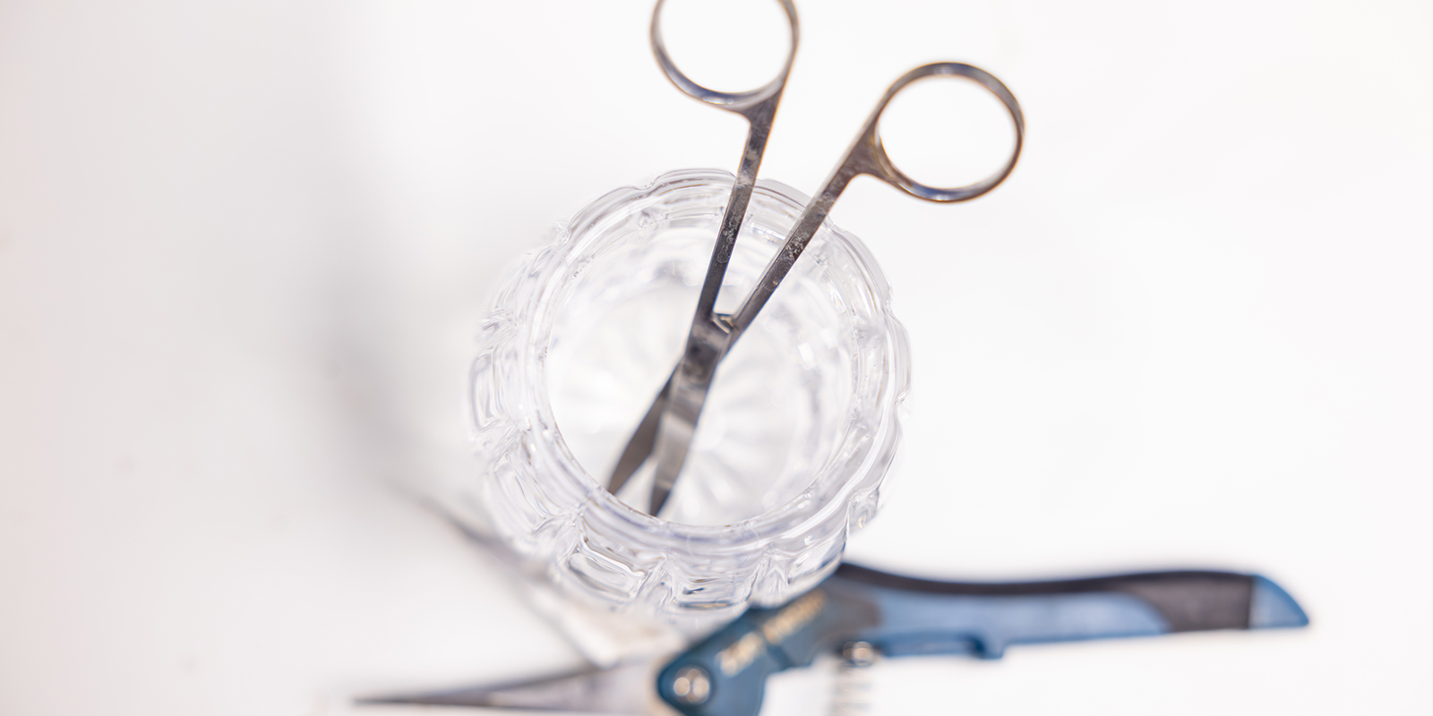 Tools & Zubehör fürs Entlauben