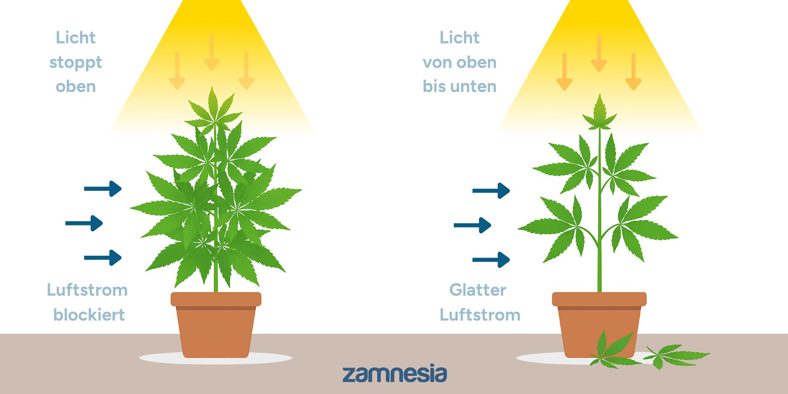 Warum Cannabis entlauben?