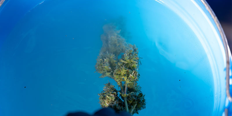 Schritt 3: In Eimer 1 eintauchen