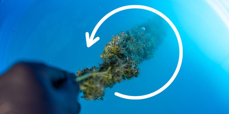 Schritt 5: Spülen in Eimer 2