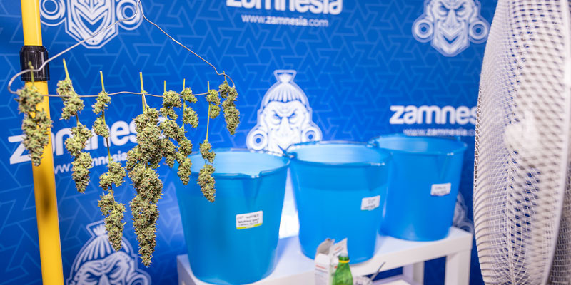 Schritt 7: Zum Trocknen aufhängen