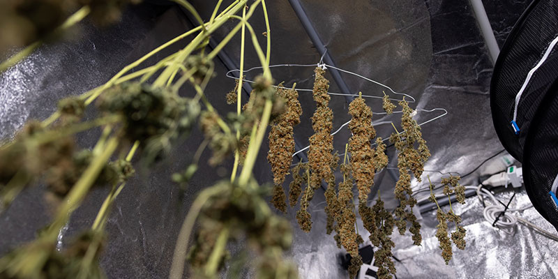 Best Practices für das Trocknen nach dem Waschen