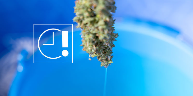 Häufige Fehler, die du vermeiden solltest