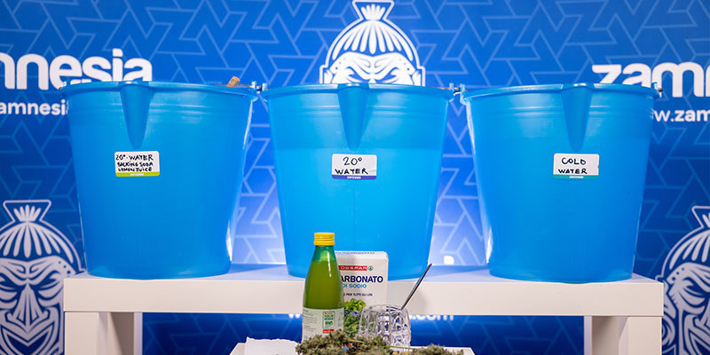 Warum solltest du dein Cannabis waschen?