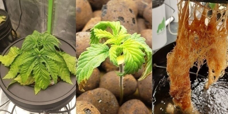 Frühwarnzeichen Frühwarnzeichen