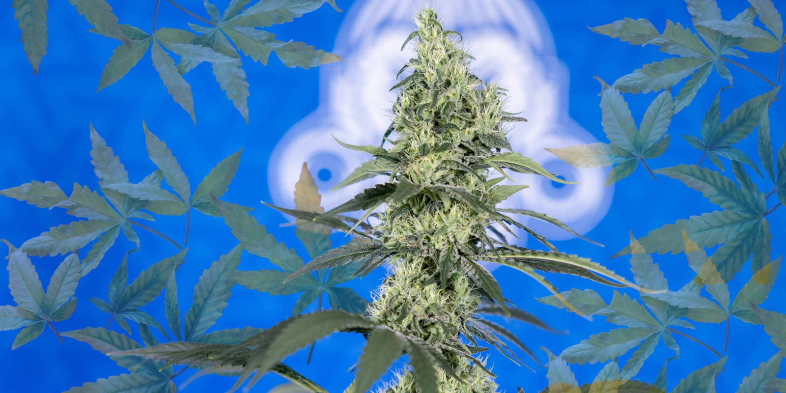 Mach Stickstoffmangel zur Vergangenheit