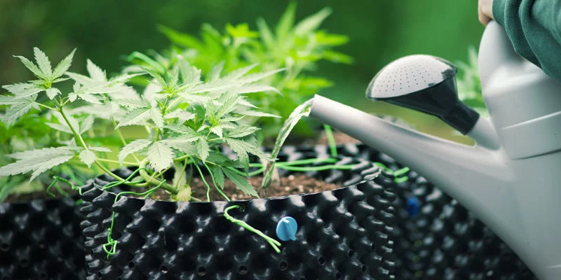 Wie Man Stickstofftoxizität Verhindert Wie man Stickstofftoxizität verhindert