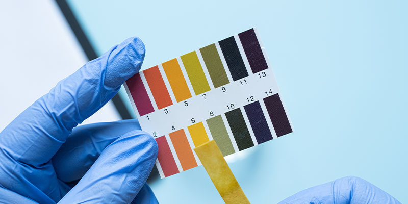 Passe den pH-Wert des Substrats oder Hydro-Setups an Passe den pH-Wert des Substrats oder Hydro-Setups an