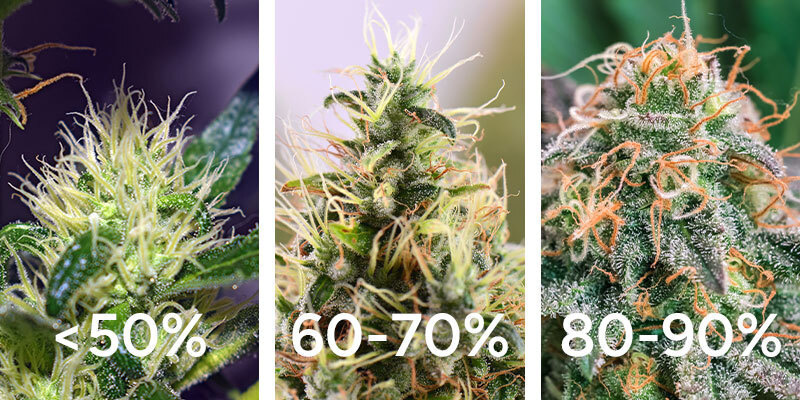 Stempelfarbe überprüfen