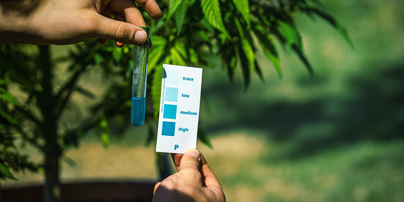 Was Verursacht Einen Zinkmangel? Was verursacht einen Zinkmangel?