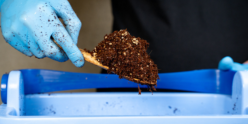 So verwendet man Kokosfasern als Substrat