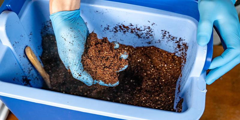 Kokosfasern für den Cannabisanbau vorbereiten