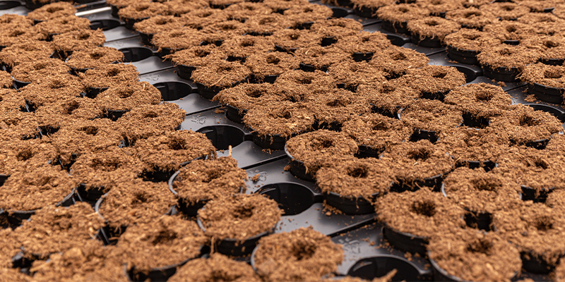 Arten von Kokosfasern