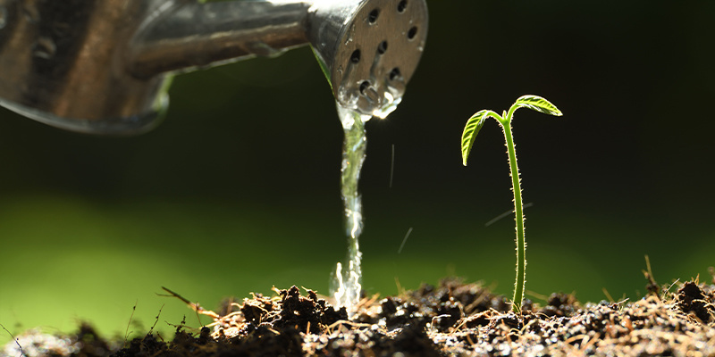 Bewässerung und pH-Management in Kokosfasern