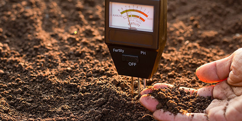 Wie Man Einen Bormangel Behandelt Wie man einen Bormangel behandelt