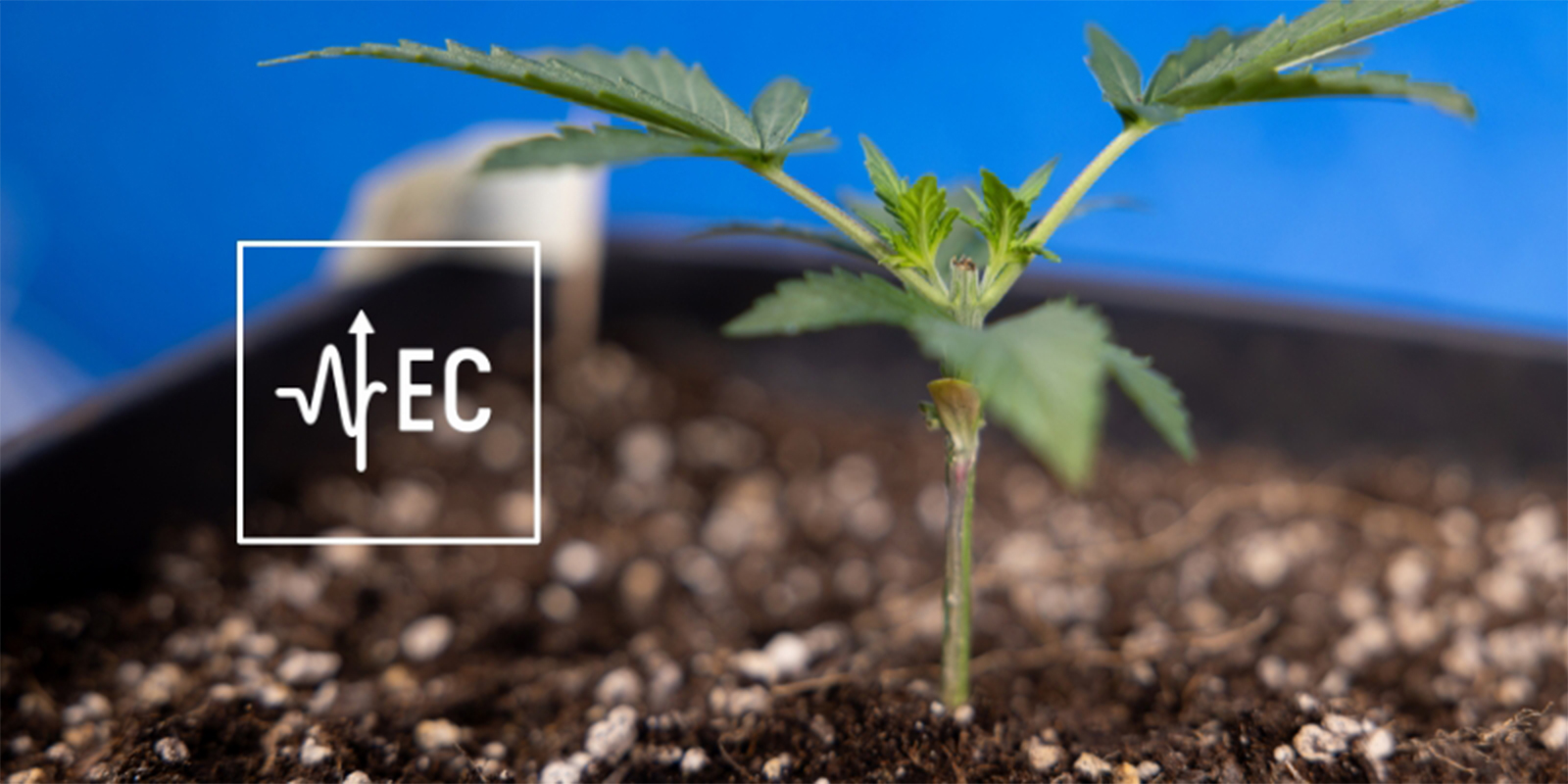 Was ist EC und warum ist er wichtig? Was ist EC und warum ist er wichtig?