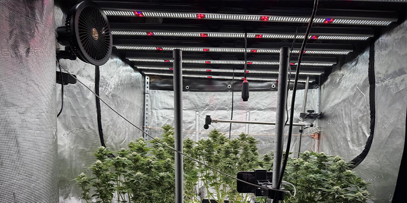 Mit CO₂-Anreicherung kombinieren