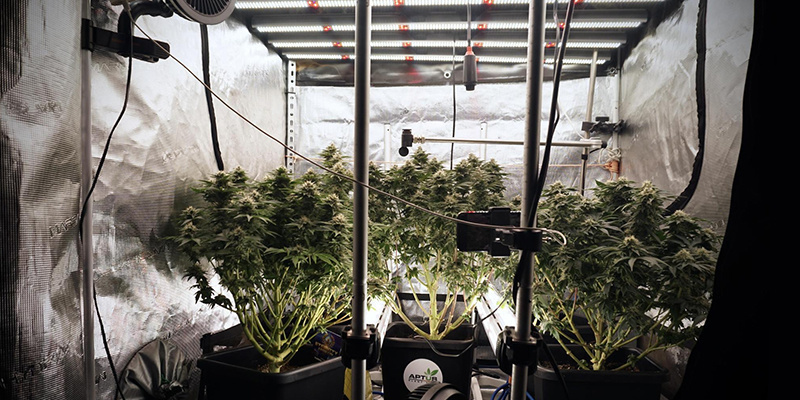 Erhöhte Komplexität des Set-ups